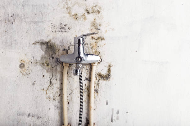 Best Fast Mold Removal  in Lake Delta, NY