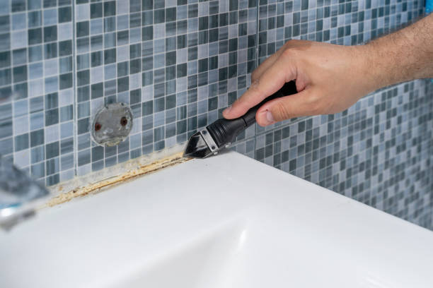 Best Office Mold Removal Services  in Lake Delta, NY